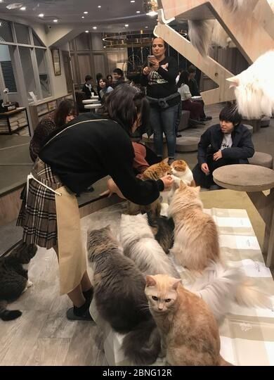 último caso de la compañía sobre Specific Customer Feedback (Anonymous Compilation)