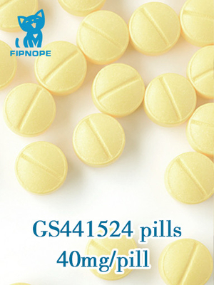20mg/tablets, píldoras orales GS441 de 40mg/tablets GS 441524 hace tabletas para el PAA del gato